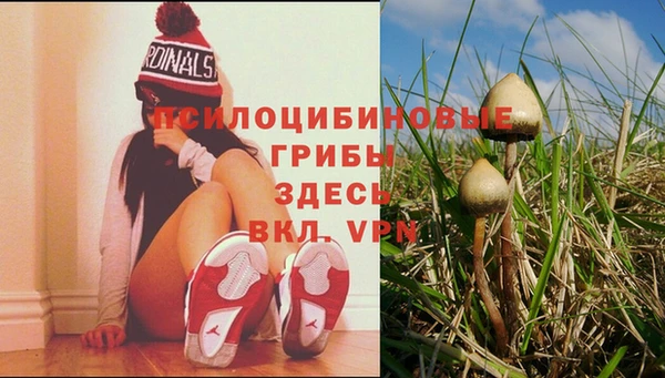трава Балахна