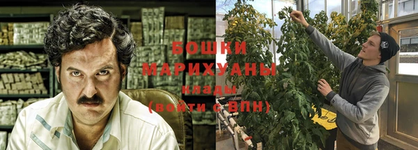 трава Балахна