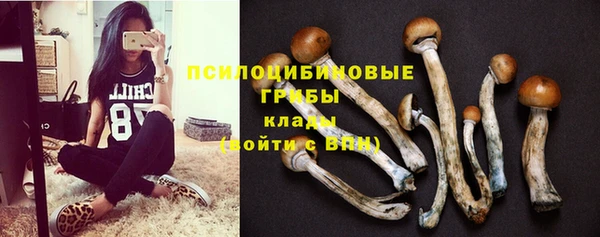 трава Балахна