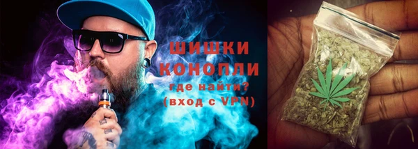 сатива Балабаново